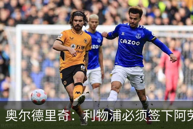 奥尔德里奇：利物浦必须签下阿劳霍
